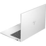 HP EliteBook 840 G11 (A26Q8EA), Notebook silber, Windows 11 Pro 64-Bit, 35.6 cm (14 Zoll), 512 GB SSD