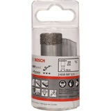 Bosch PRO Ceramic dry Bohrkrone, Ø 20mm, Bohrer für Winkelschleifer