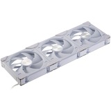 Phanteks D30-140 PWM Regular DRGB, Gehäuselüfter weiß, 3er Pack, 140 mm