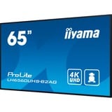 iiyama ProLite LH6560UHS-B2AG, Public Display schwarz (matt), UltraHD/4K, VA, Lautsprecher,