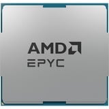 AMD EPYC™ 8434P, Prozessor Tray-Version