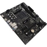 Biostar B550MT, Mainboard 