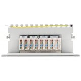 DeLOCK 10" Patchpanel 8 Port Cat.6A grau, 0,5 HE