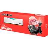 ADATA DIMM 16 GB DDR5-5600  , Arbeitsspeicher weiß, AX5U5600C3616G-CLARWH, XPG Lancer RGB, INTEL XMP, AMD EXPO