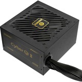 Enermax CYBERG II ERV650G, PC-Netzteil 2x PCIe, 650 Watt