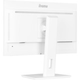 iiyama ProLite XUB2497HSU-W2, LED-Monitor 60.5 cm (23.8 Zoll), weiß (matt), FullHD, IPS, USB-Hub, 100Hz Panel