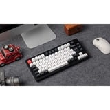 Keychron Q1 HE, Gaming-Tastatur schwarz/weiß, DE-Layout, Gateron Double-Rail Magnetic Nebula, Hot-Swap, Aluminiumrahmen, RGB