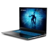 Medion ERAZER Defender P50i (30038543) , Gaming-Notebook schwarz, Windows 11 Home 64-Bit, 43.9 cm (17.3 Zoll) & 144 Hz Display, 1 TB SSD