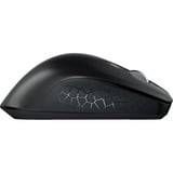 CHERRY STREAM MOUSE COMFORT, Maus schwarz