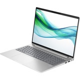 HP ProBook 460 G11 (9C0C6EA), Notebook silber, Windows 11 Pro 64-Bit, 40.6 cm (16 Zoll), 512 GB SSD