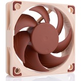 Noctua Noctua NF-A6x15 5V PWM, Gehäuselüfter 