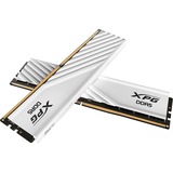 ADATA DIMM 32 GB DDR5-5600 (2x 16 GB) Dual-Kit, Arbeitsspeicher weiß, AX5U5600C4616G-DTLABWH, XPG Lancer Blade, INTEL XMP, AMD EXPO