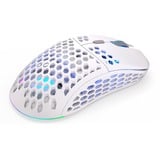 ENDORFY LIX Onyx White Wireless, Gaming-Maus weiß/grau