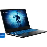 Medion Deputy P60 Core (30039216), Gaming-Notebook Intel® Core™ i9-13900H, NVIDIA GeForce RTX 4070, 16 GB DDR4, 1 TB SSD, Windows 11 Home 64-Bit