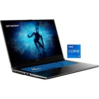 Medion ERAZER Defender P50i (30038543) , Gaming-Notebook schwarz, Intel® Core™ i7-13620H, NVIDIA GeForce RTX 4060, 16 GB DDR4, 1 TB SSD, Windows 11 Home 64-Bit