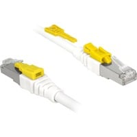 DeLOCK RJ45 Secure Cat. 6A, Kabel weiß, 1 Meter, verriegelbar, LSOH Halogenfrei