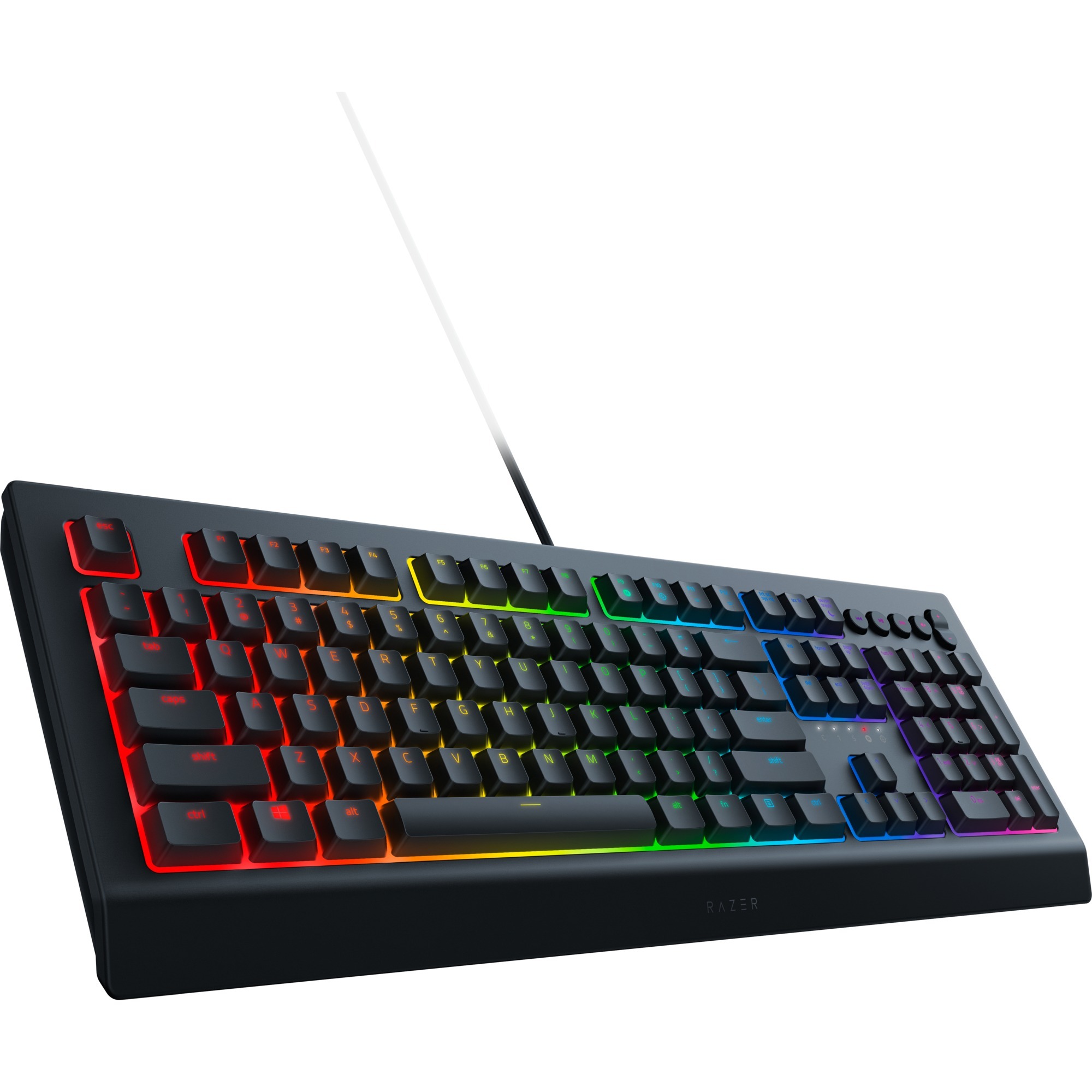Image of Alternate - Cynosa V2, Gaming-Tastatur online einkaufen bei Alternate