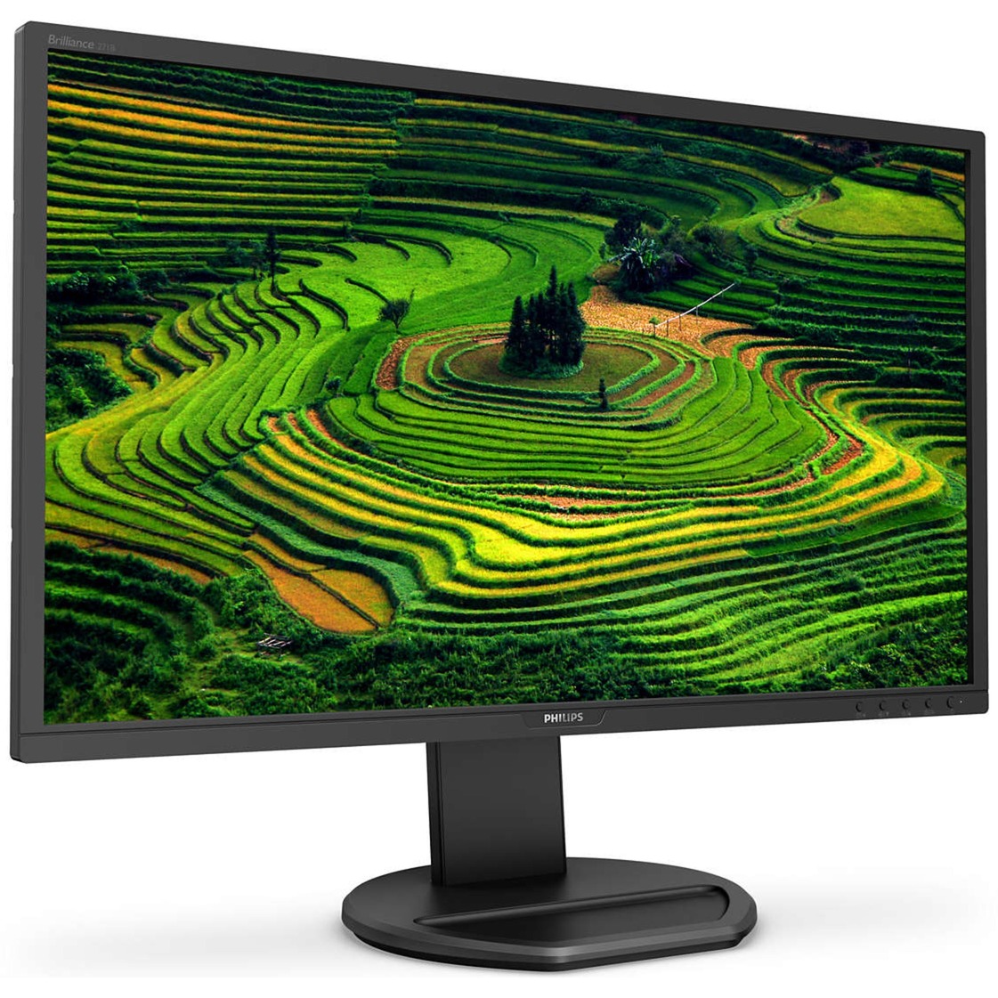 Image of Alternate - 271B8QJEB/00, LED-Monitor online einkaufen bei Alternate